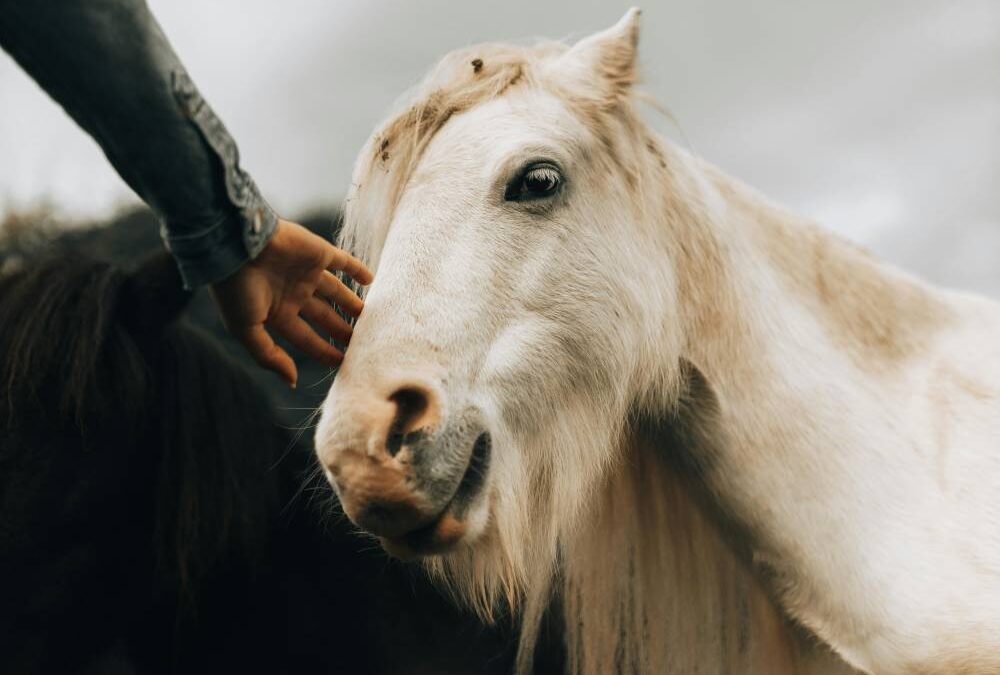 Six things photographers can do during the slow season