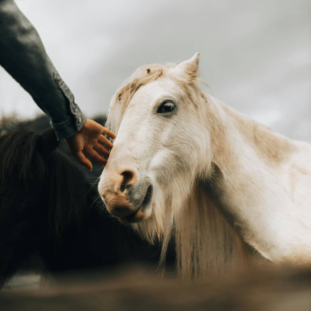 Six things photographers can do during the slow season